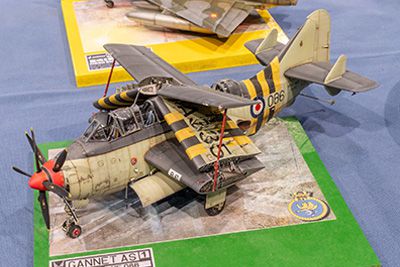 Scale Model